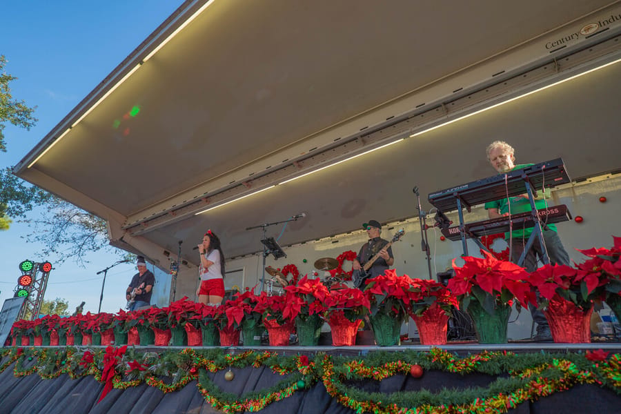 PoinsettiaParade_LG-13