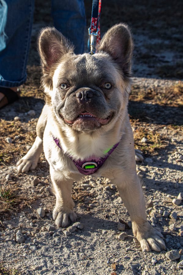 K-9 Connections_20251213 (17)