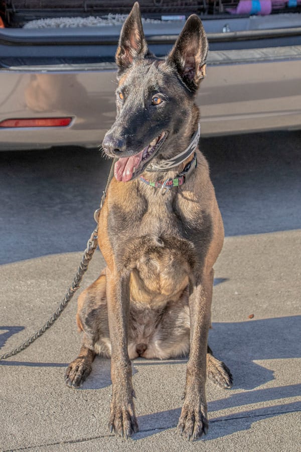 K-9 Connections_20251213 (16)