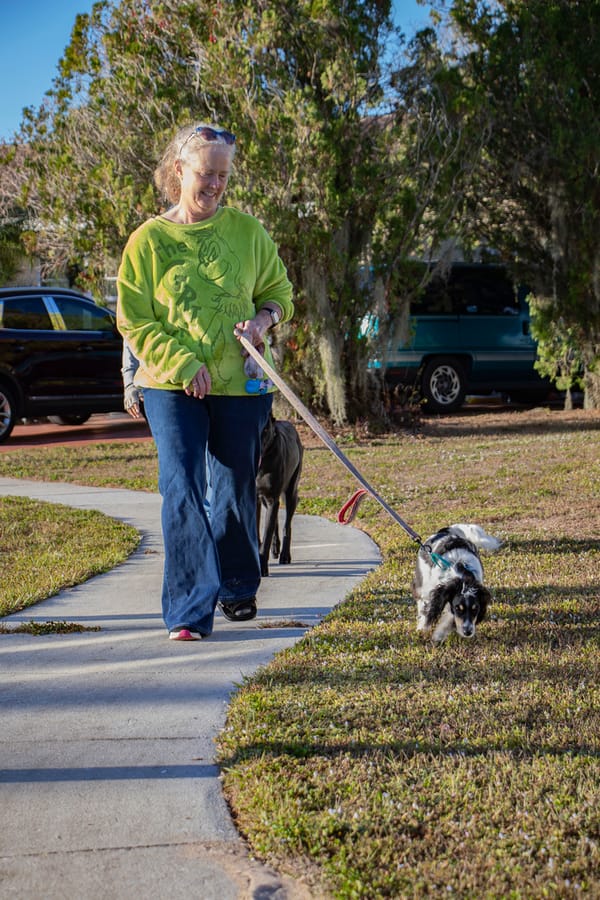 K-9 Connections_20251213 (8)