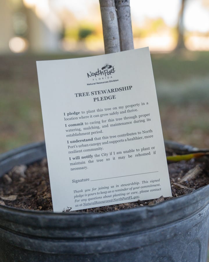 Jan. 16 Tree Giveaway IY (18)
