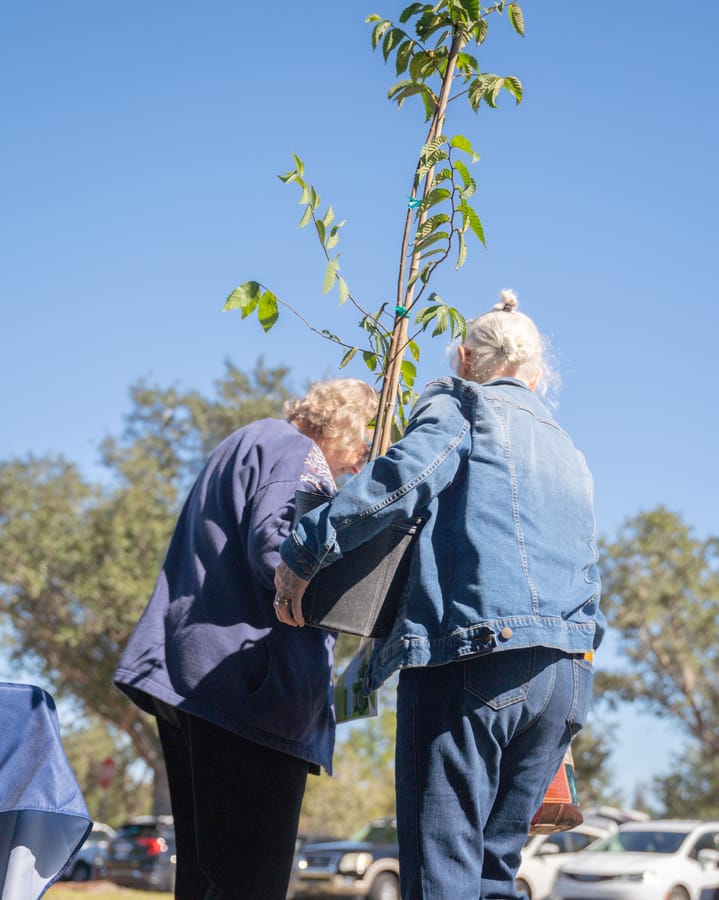 Jan. 16 Tree Giveaway IY (28)