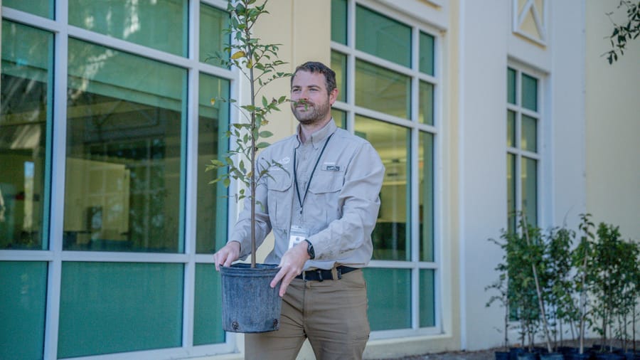Jan. 16 Tree Giveaway IY (51)