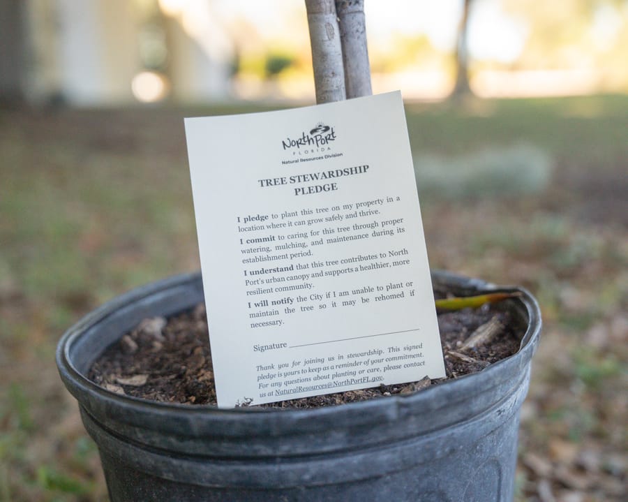 Jan. 16 Tree Giveaway IY (19)