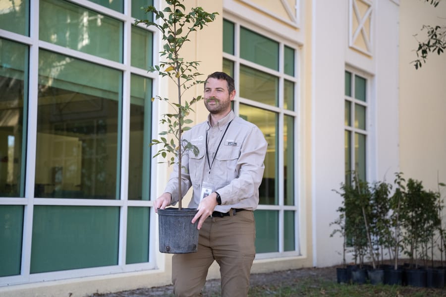 Jan. 16 Tree Giveaway IY (50)