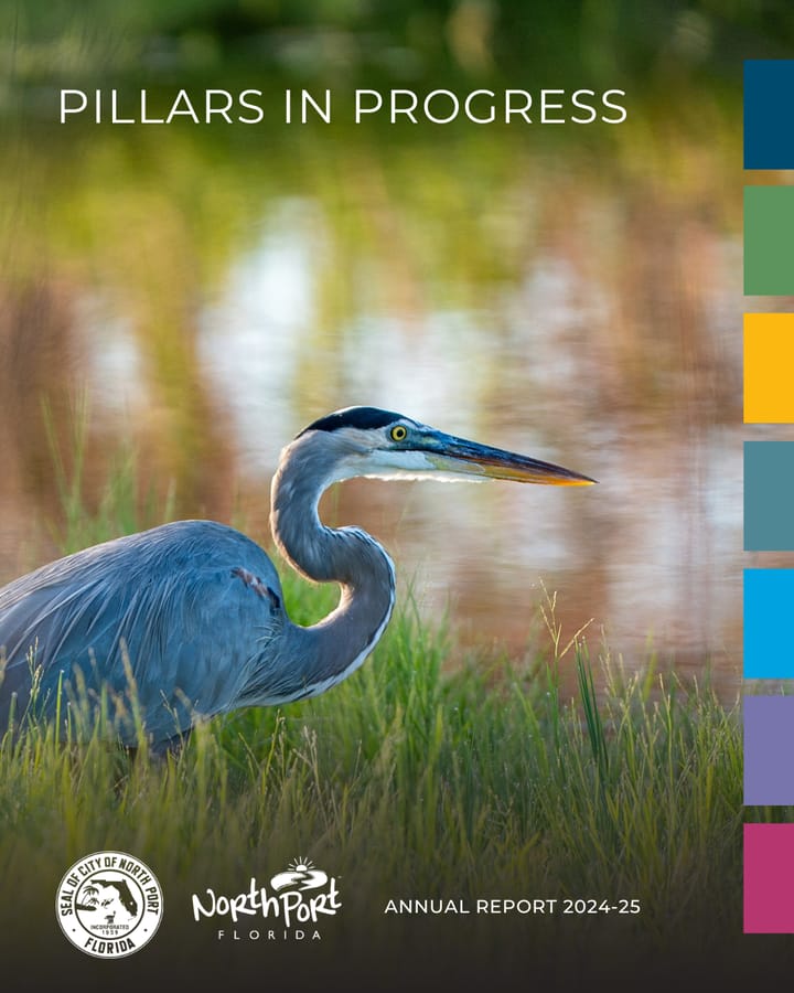 Annual Report 4:5 graphic - 1