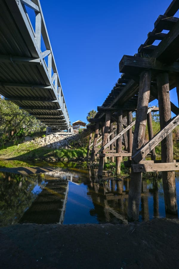 20260121_RailroadTrestleLegacyTrailPinecraft 0002_SD