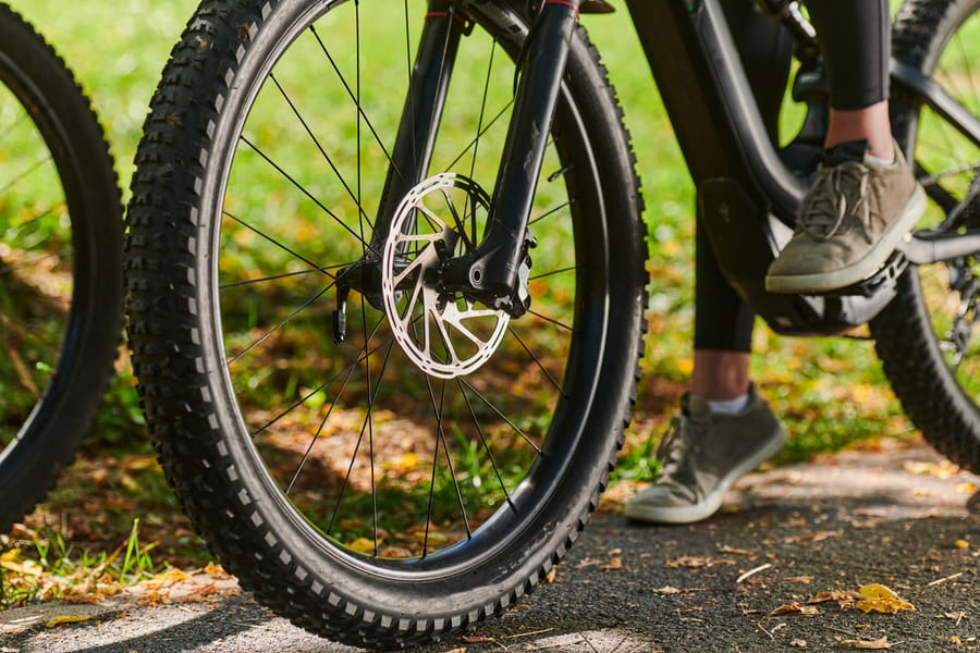 A sports bicycle races through the park, its components in focused motion spinning wheels, agile pedals, and sleek handlebars creating a dynamic spectacle of athleticism and speed against the backdrop of lush greenery