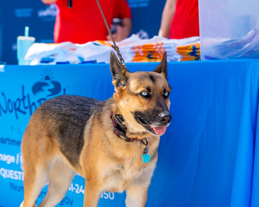 2026 Road-E-O.IY (148)