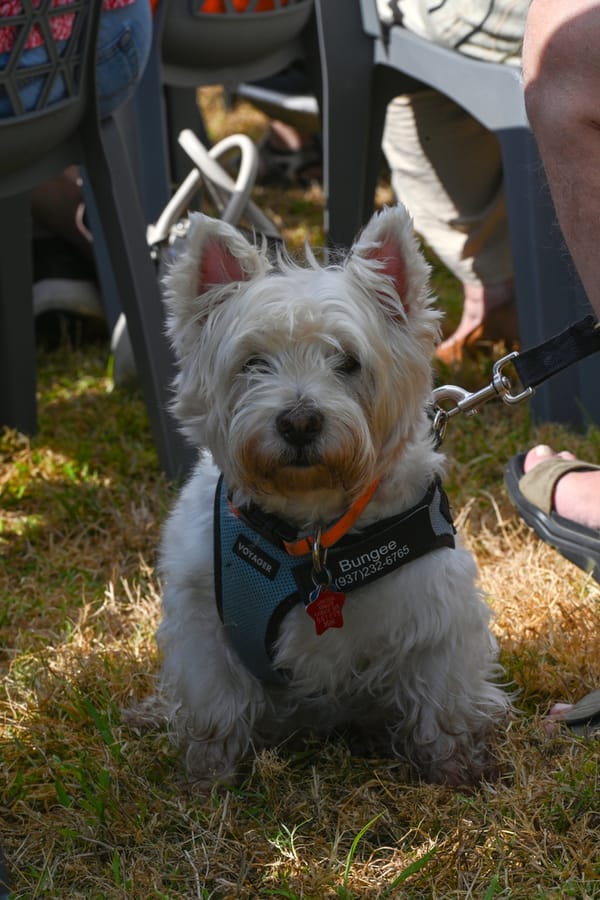 20260211_TheMeadowsHistoricalMarkerDedication_0016_SD