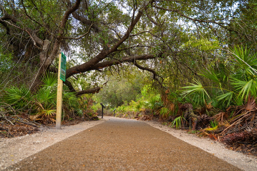 Boca Chica Ribbon Cutting_CD
