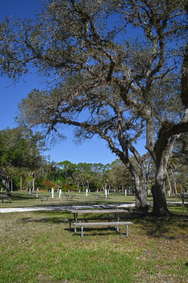 20260310_CampVenice_015_SD