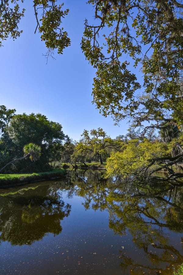 20260310_CampVenice_002_SD