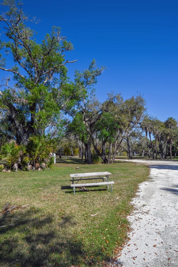 20260310_CampVenice_019_SD