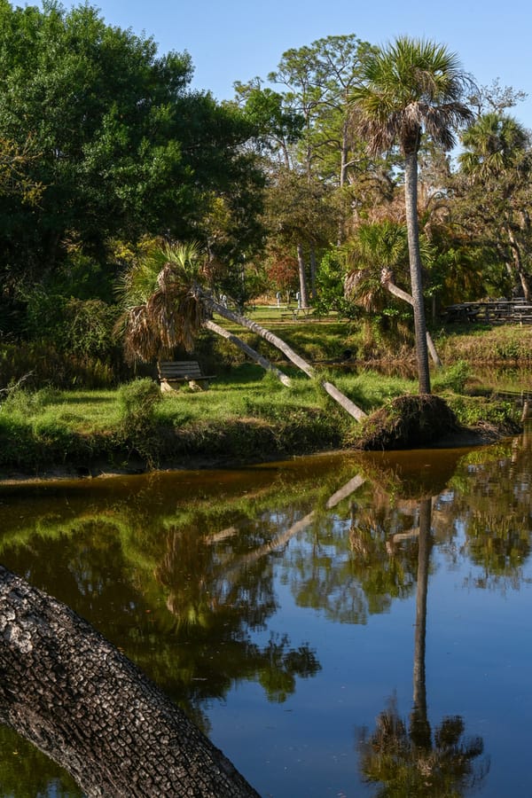 20260309_CampVenice_001_SD