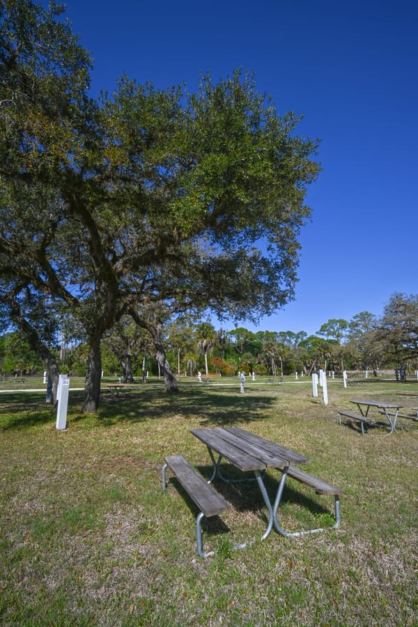 20260310_CampVenice_016_SD