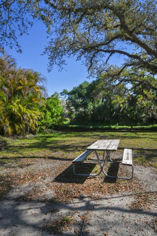 20260310_CampVenice_024_SD