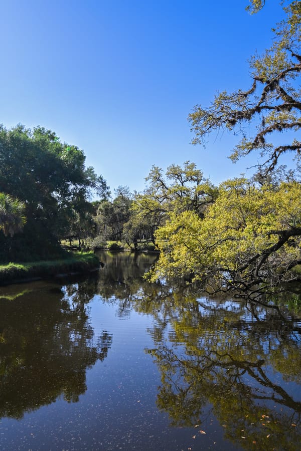 20260310_CampVenice_005_SD