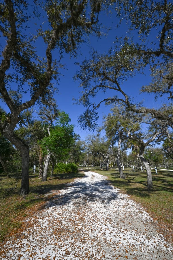 20260310_CampVenice_012_SD