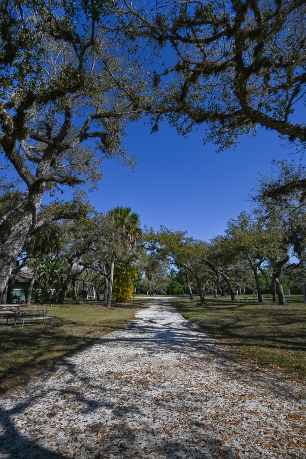 20260310_CampVenice_014_SD