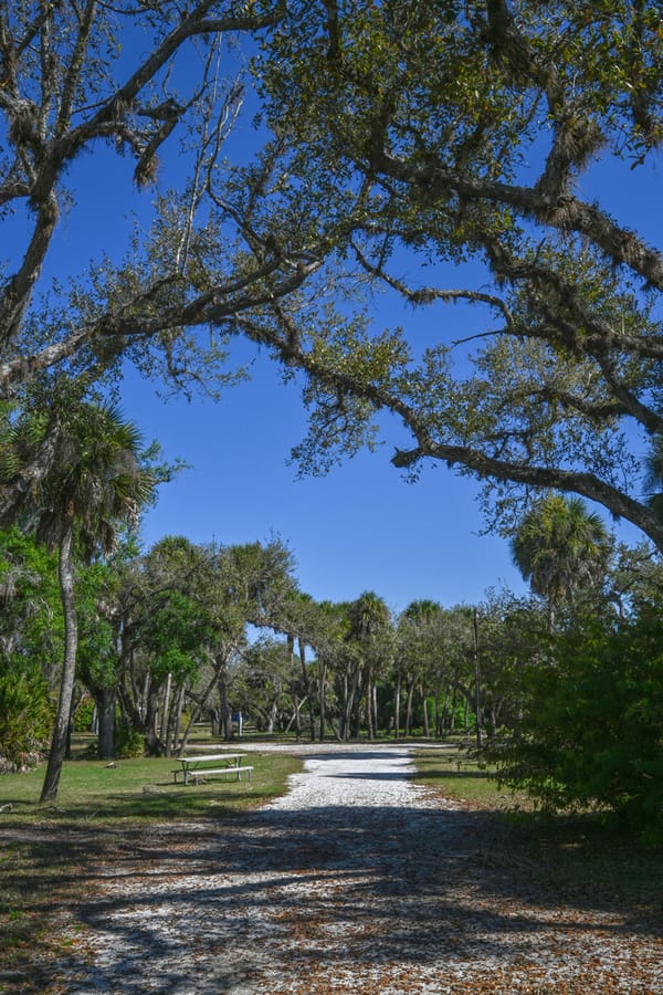 20260310_CampVenice_018_SD