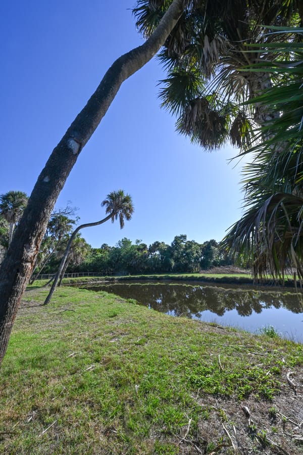 20260310_CampVenice_004_SD