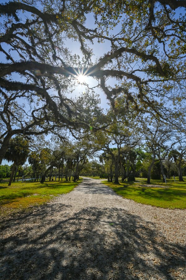 20260310_CampVenice_023_SD