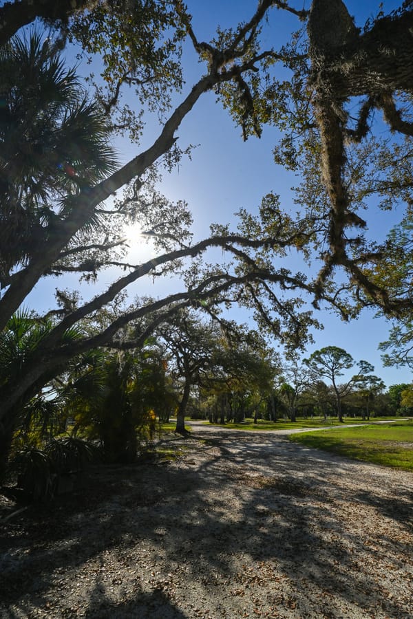 20260310_CampVenice_006_SD