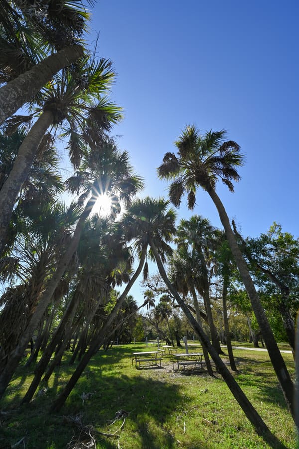 20260310_CampVenice_009_SD