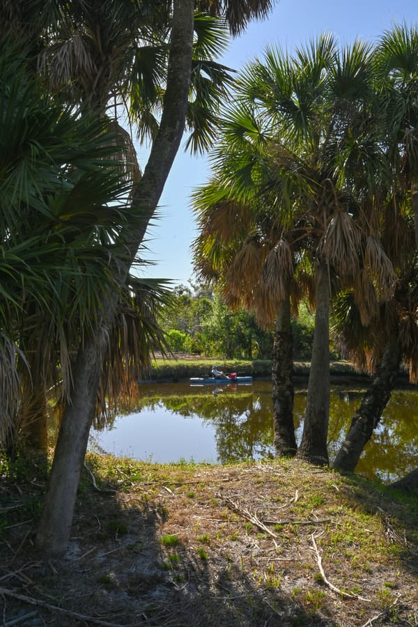 20260310_CampVenice_003_SD