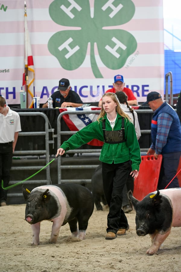 20260318_CountyFair_169_SD