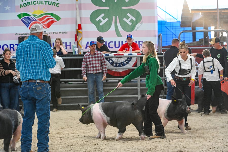 20260318_CountyFair_144_SD