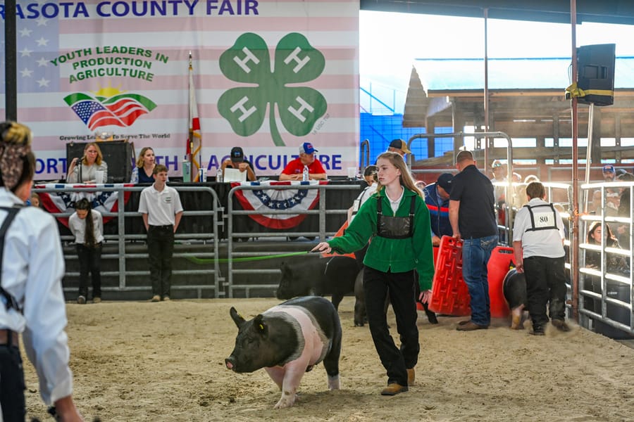 20260318_CountyFair_171_SD