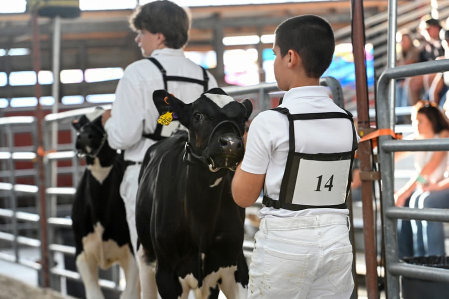 20260313_CountyFair_029_SD