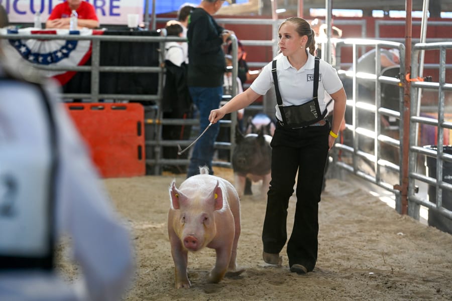 20260318_CountyFair_161_SD