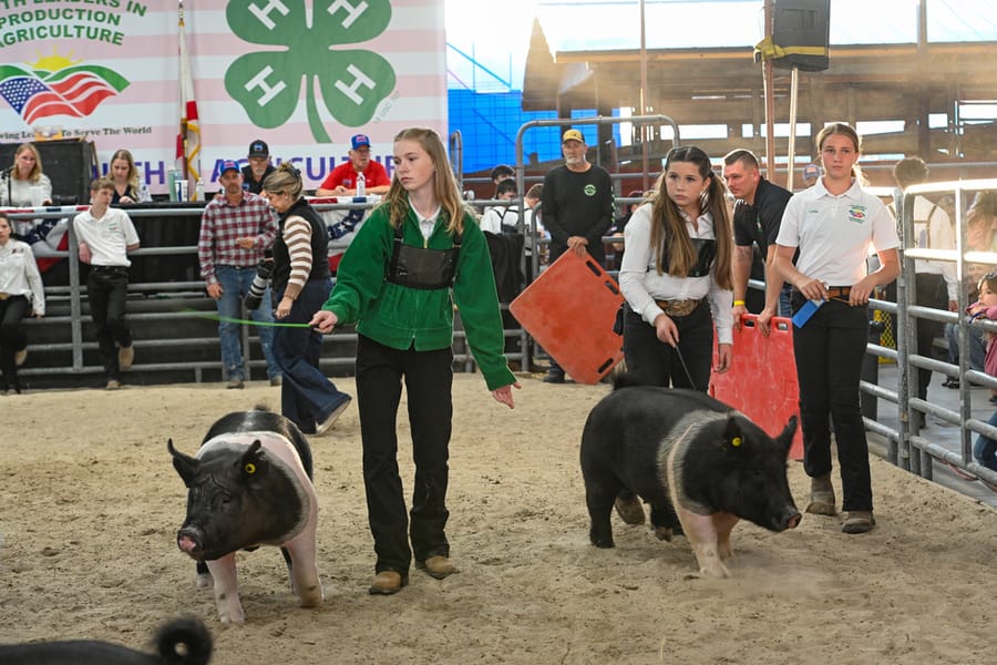 20260318_CountyFair_183_SD