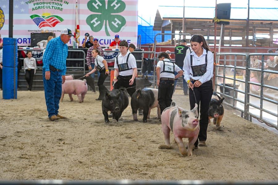 20260318_CountyFair_162_SD