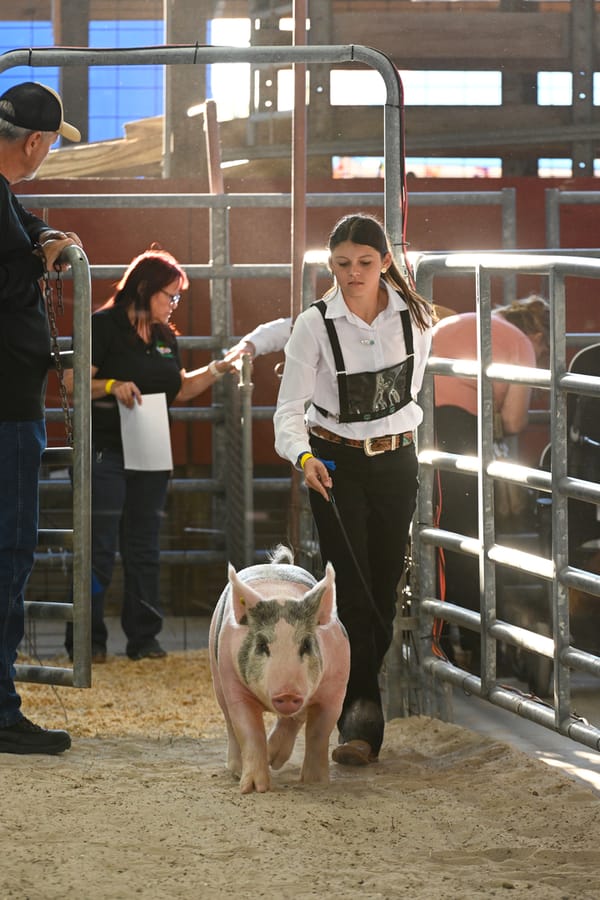 20260318_CountyFair_159_SD