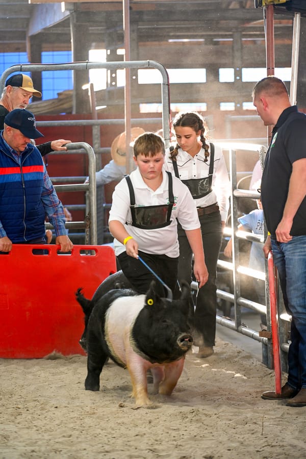 20260318_CountyFair_165_SD