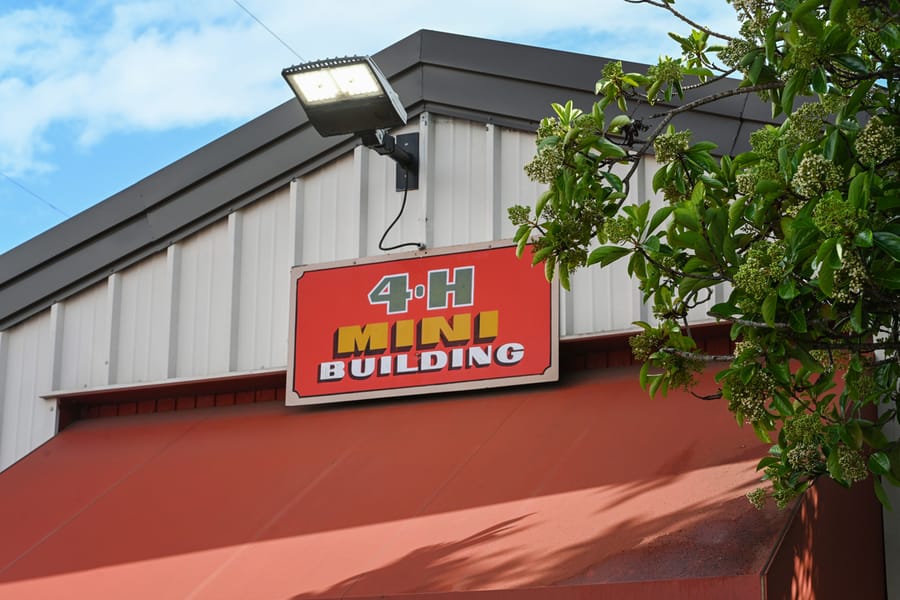 20260313_CountyFair_003_SD