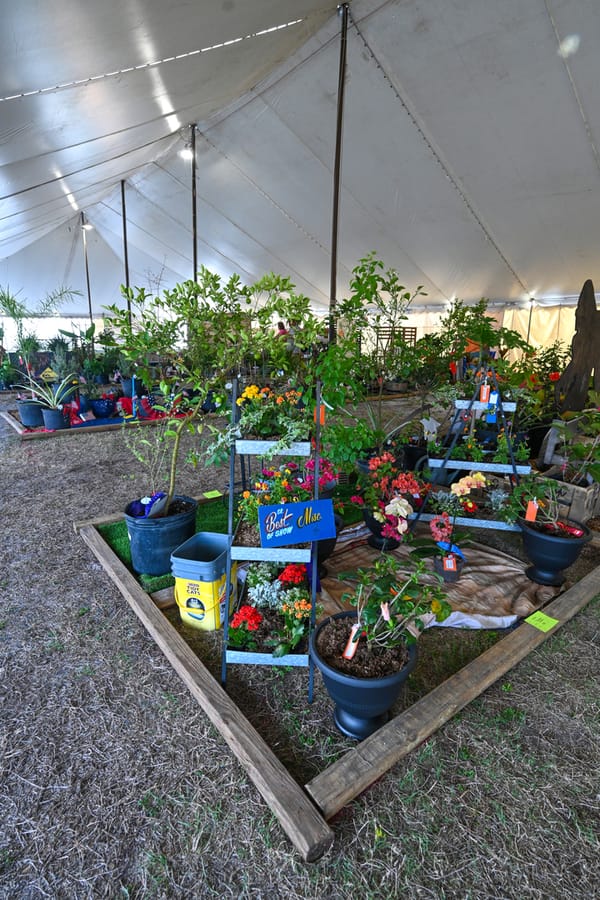 20260313_CountyFair_082_SD