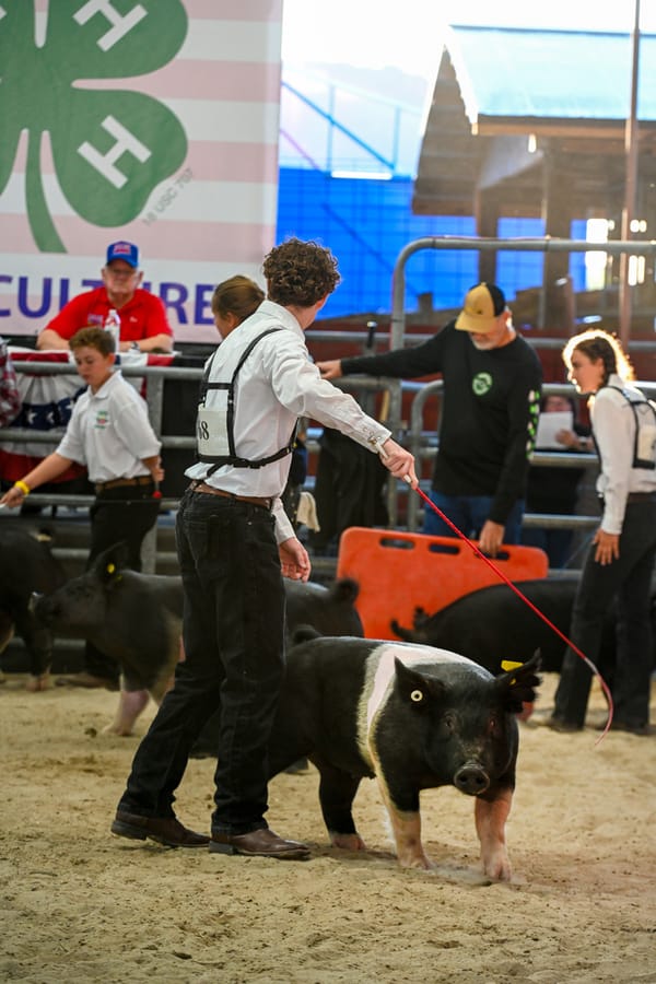 20260318_CountyFair_173_SD