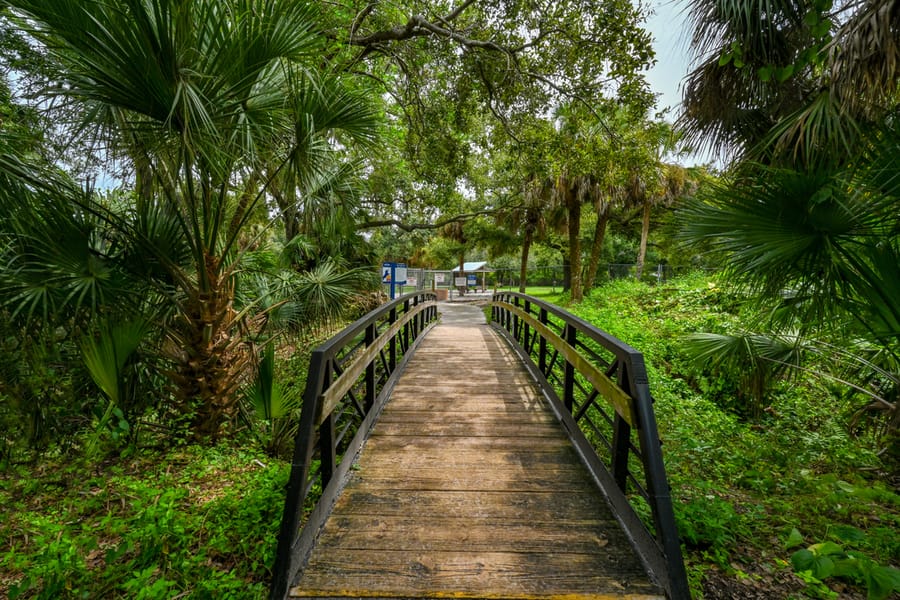 20250909_WoodmerePark_013_SD