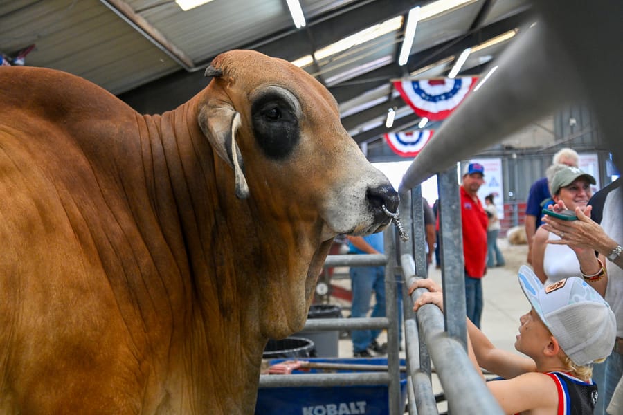 20260316_CountyFair_104_SD