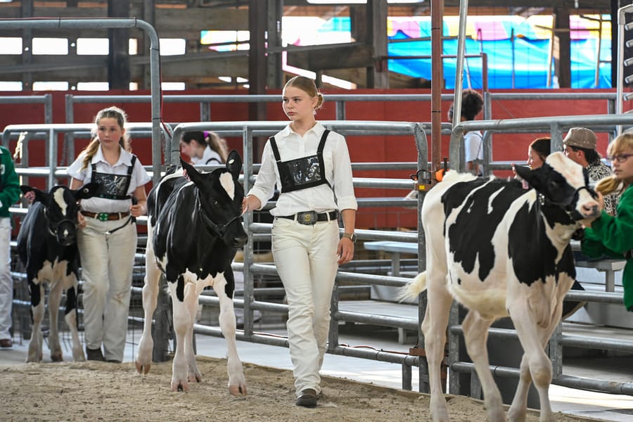 20260313_CountyFair_027_SD