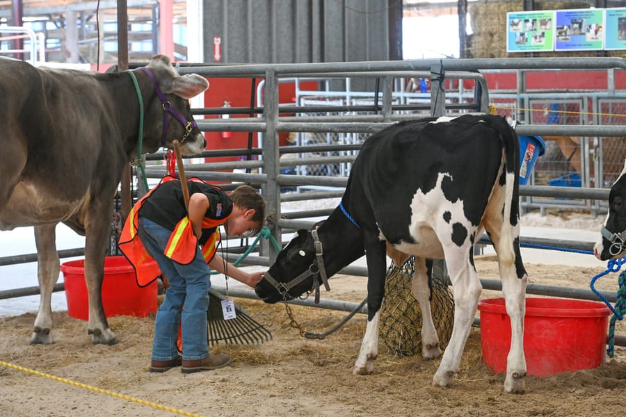20260313_CountyFair_012_SD