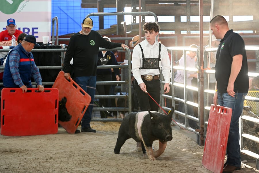 20260318_CountyFair_168_SD