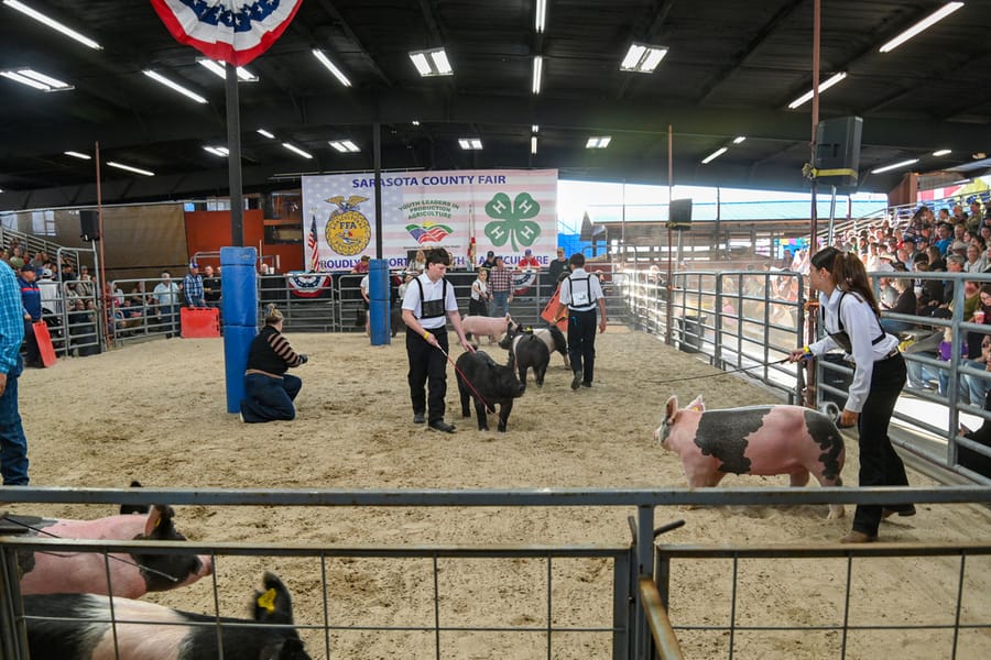 20260318_CountyFair_150_SD