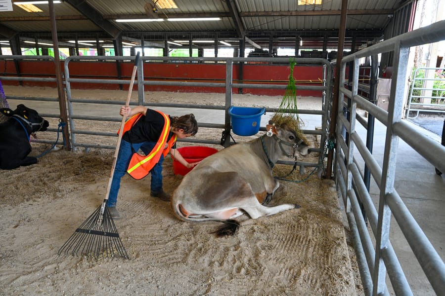 20260313_CountyFair_076_SD