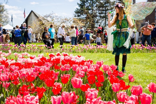 Lilac-Festival-2016-409_Photo Credit Rochester Lilac Festival Andy Buscemi Photographyi